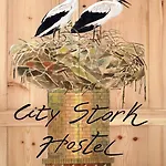 Stork *